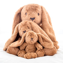 Load image into Gallery viewer, Big Bailey Bunny 52cm