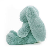 Load image into Gallery viewer, Banjo Blue Bunny 34cm