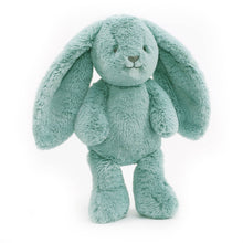Load image into Gallery viewer, Banjo Blue Bunny 34cm