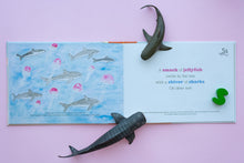 Load image into Gallery viewer, Caravan of Camels - A book of collective nouns