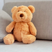 Load image into Gallery viewer, Honey Bear 40cm