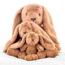 Load image into Gallery viewer, Little Bailey Bunny 26cm