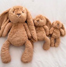 Load image into Gallery viewer, Little Bailey Bunny 26cm