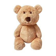 Load image into Gallery viewer, Honey Bear 40cm